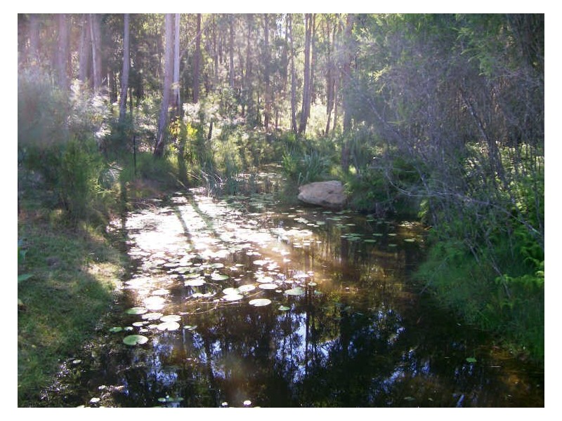 38 Hayward Road, Wandandian NSW 2540