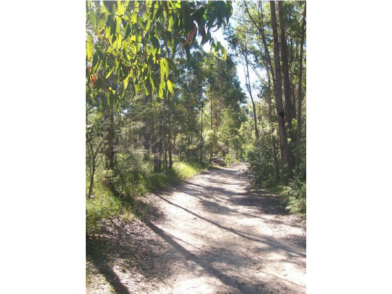 38 Hayward Road, Wandandian NSW 2540