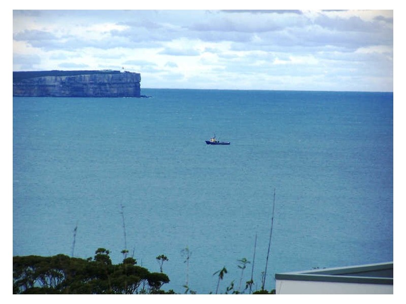 119 Waldegrave Cres, Vincentia NSW 2540