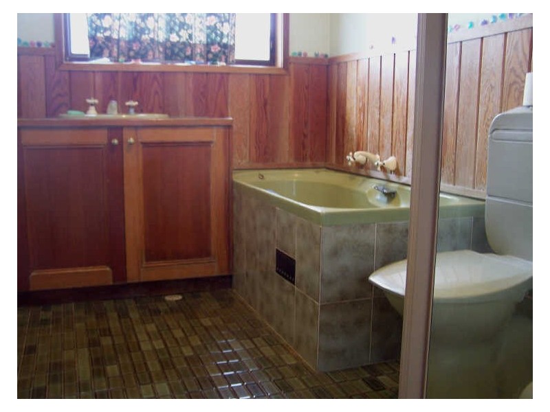 119 Waldegrave Cres, Vincentia NSW 2540