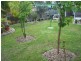 133 Greville Avenue, Sanctuary Point NSW 2540
