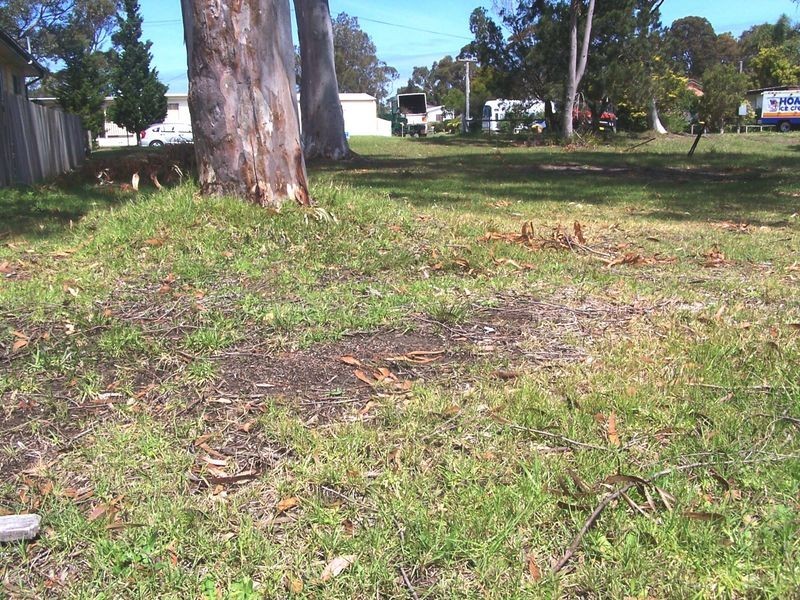 11 Gibson Crescent, Sanctuary Point NSW 2540