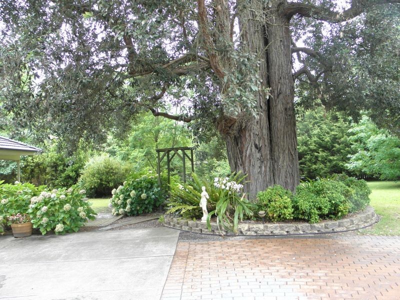 20 Bottlebrush Avenue, Basin View NSW 2540