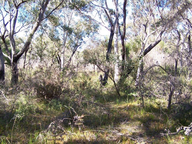 Lot 328 Yooralla Street, Basin View NSW 2540
