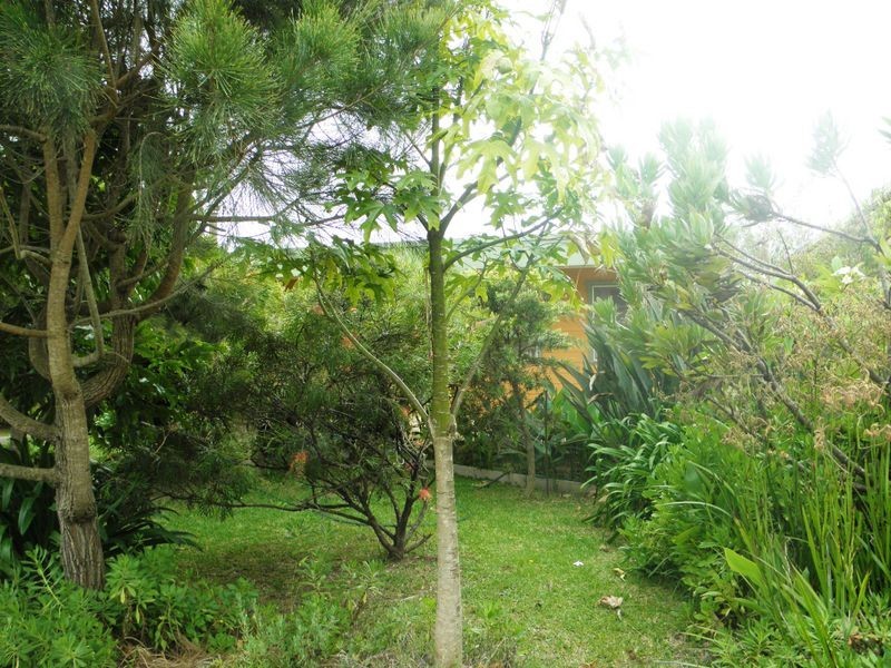 14 Gibson Crescent, Sanctuary Point NSW 2540