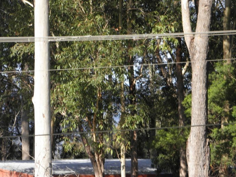 45 Harriss Avenue, Basin View NSW 2540