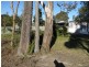 121 Links Avenue, Sanctuary Point NSW 2540