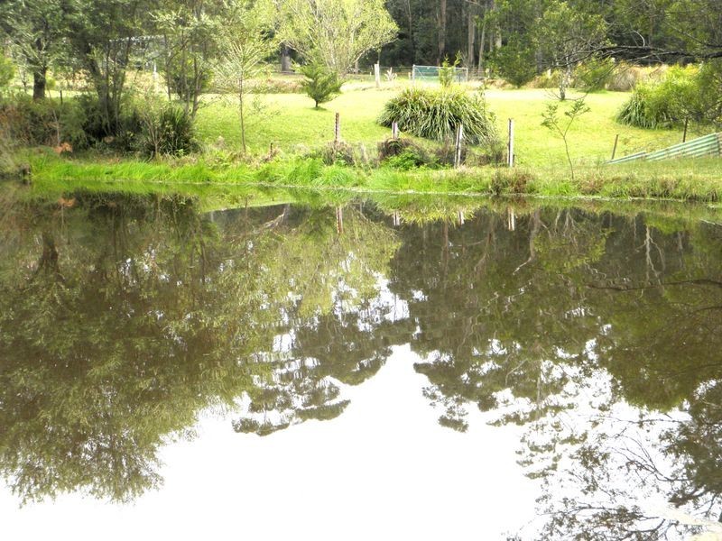 Lot 17 Battunga Drive, Tomerong NSW 2540