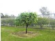 Lot 17 Battunga Drive, Tomerong NSW 2540