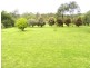 661b Woollamia Road, Basin View NSW 2540