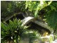 58 Flamingo Avenue, Sanctuary Point NSW 2540