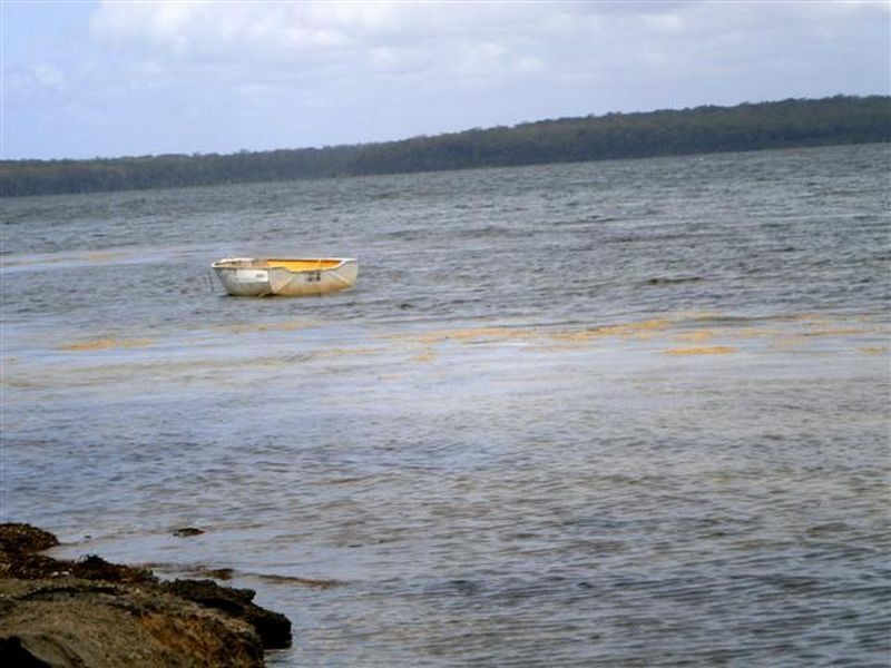 29 Lachlan Crescent, St Georges Basin NSW 2540