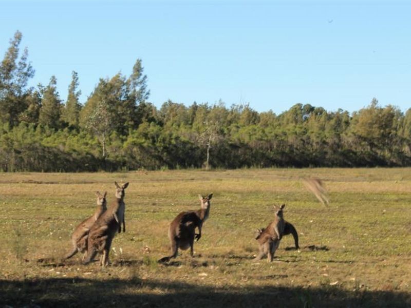 70 Sanctuary Point Rd, Sanctuary Point NSW 2540