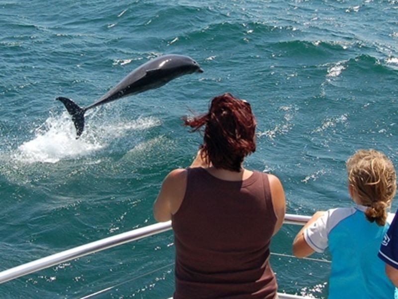 Lot 5 The Wool Road, St Georges Basin NSW 2540