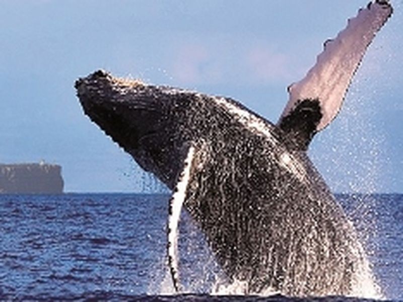 Lot 20 The Basin Road, St Georges Basin NSW 2540