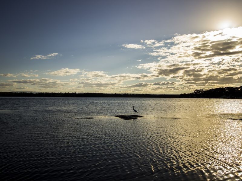 58 Grandview Street, Erowal Bay NSW 2540