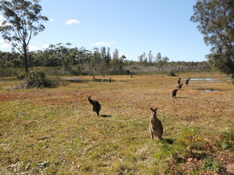 72 Sanctuary Point Road, Sanctuary Point NSW 2540