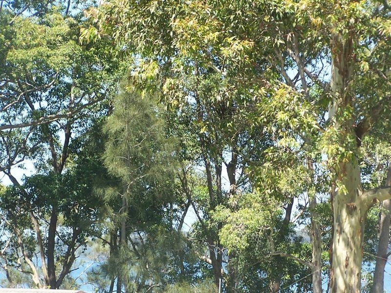 98 Walmer Ave, Sanctuary Point NSW 2540