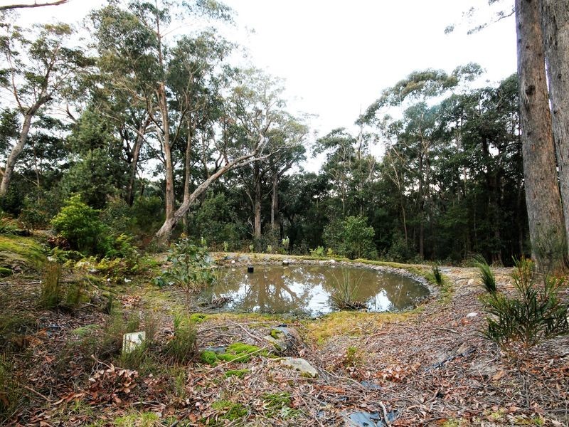 507 Leebold Hill Road, Basin View NSW 2540