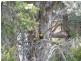 117 Greville Avenue, Sanctuary Point NSW 2540
