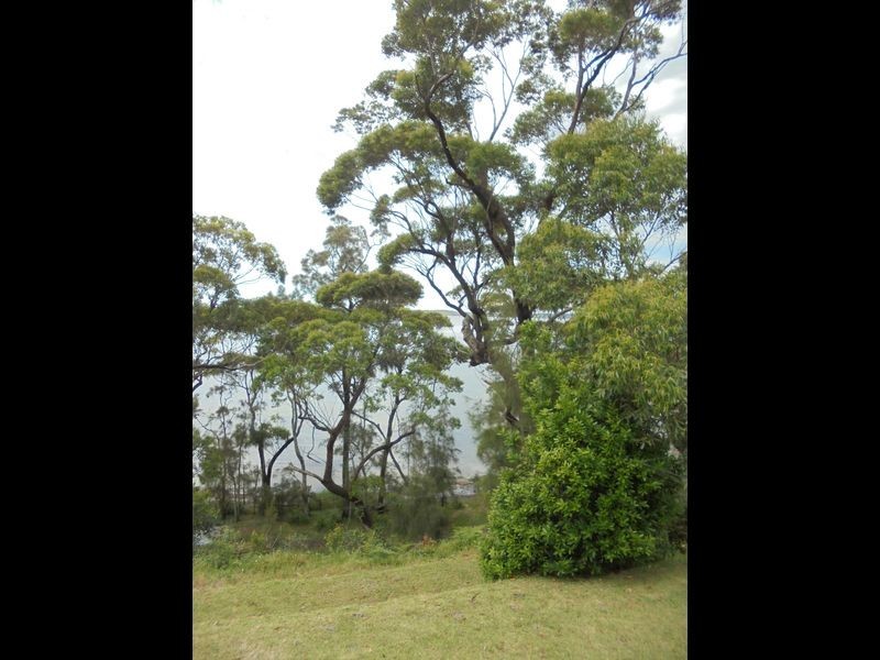 170 GREVILLE AVE, Sanctuary Point NSW 2540
