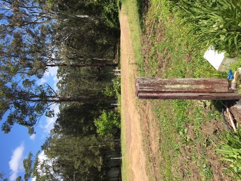 1a Bottlebrush Street, Basin View NSW 2540