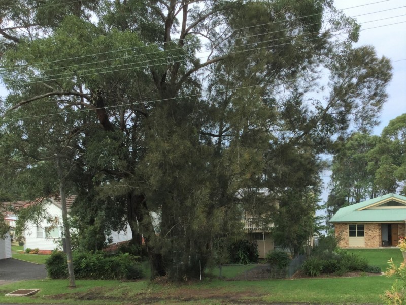 57 Basin View Parade, Basin View NSW 2540