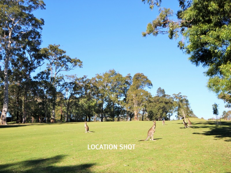 124 The Park Drive, Sanctuary Point NSW 2540