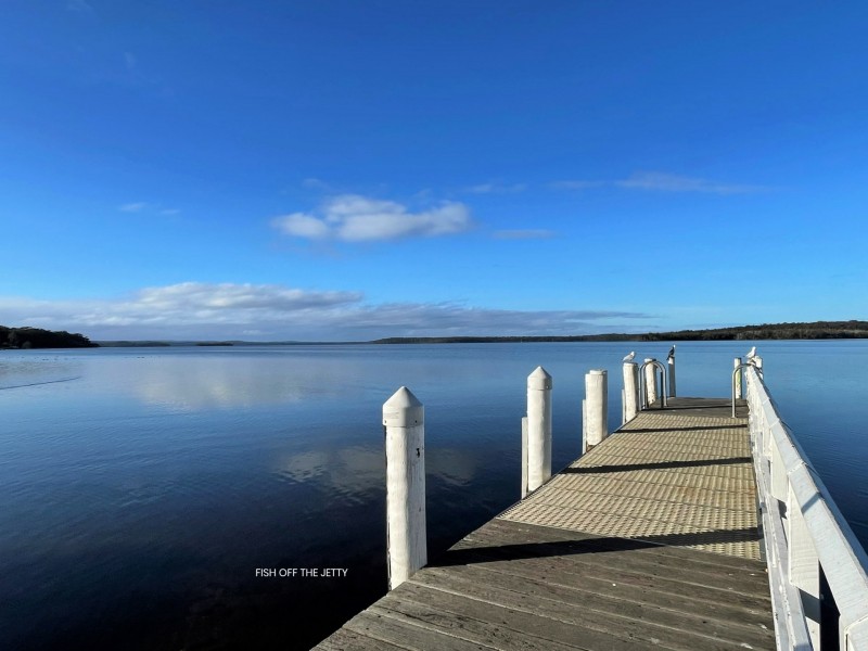 31 John Street, Basin View NSW 2540