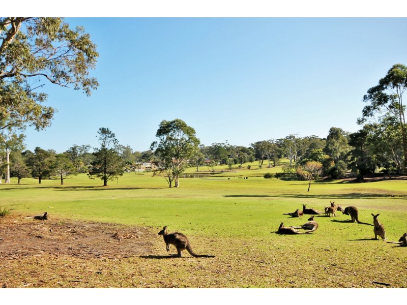 75 Paradise Beach Rd, Sanctuary Point NSW 2540