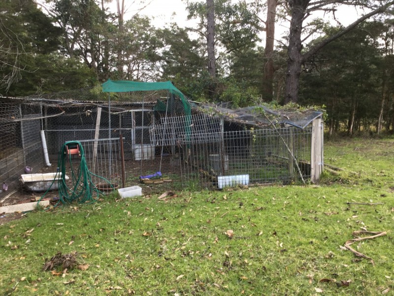 D2530 Princes Highway, Wandandian NSW 2540
