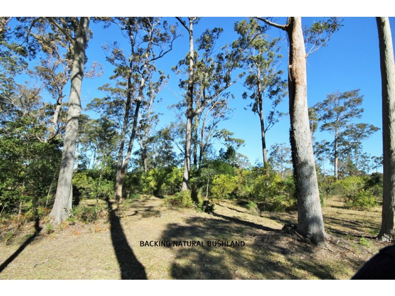 29 Mountain St, Sanctuary Point NSW 2540