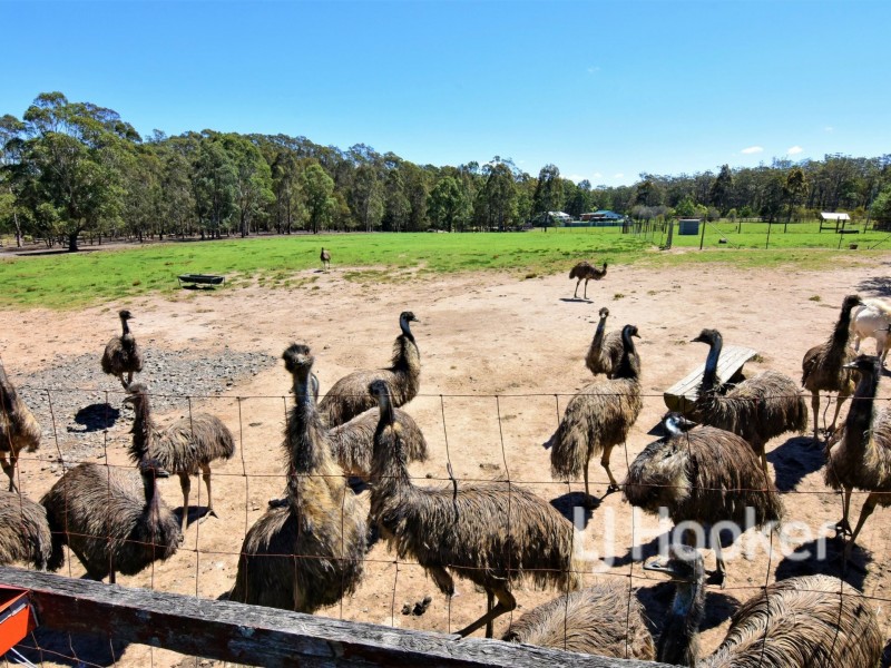 132 Jervis Bay Road, Falls Creek NSW 2540