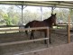 Moodlu QLD 4510
