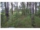 Delaneys Creek QLD 4514
