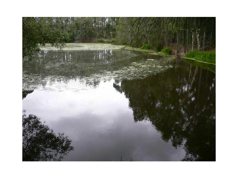 20 Lomond Drive, Ningi QLD 4511