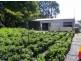20 Lomond Drive, Ningi QLD 4511