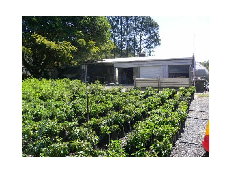 20 Lomond Drive, Ningi QLD 4511
