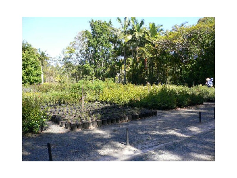 20 Lomond Drive, Ningi QLD 4511