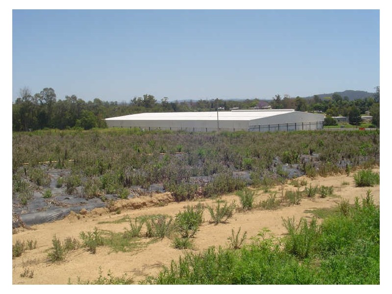 Wamuran QLD 4512
