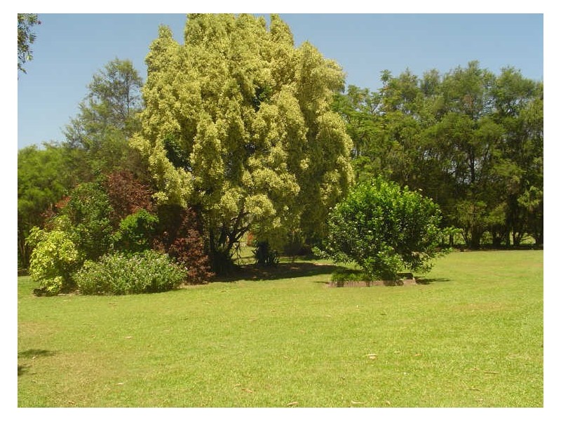 Wamuran QLD 4512