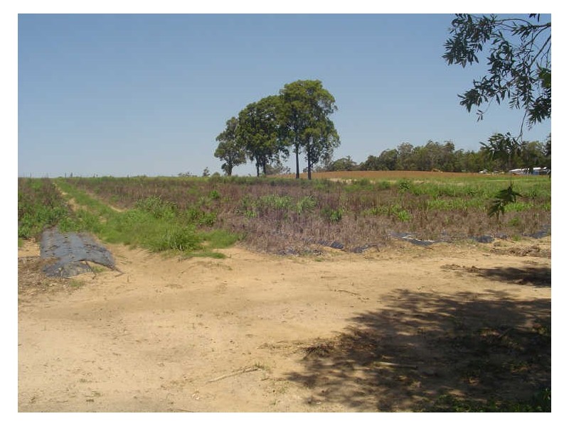 Wamuran QLD 4512