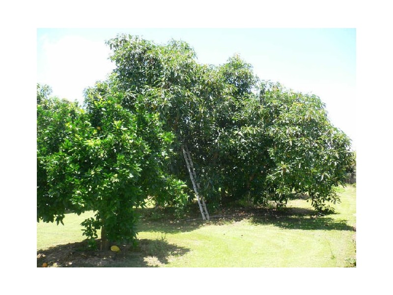 Morayfield QLD 4506