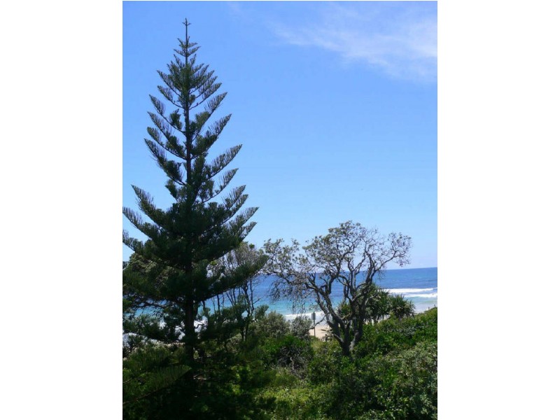 5 Wilson Ave, Dicky Beach QLD 4551