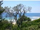 5 Wilson Ave, Dicky Beach QLD 4551