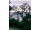 5 Wilson Ave, Dicky Beach QLD 4551