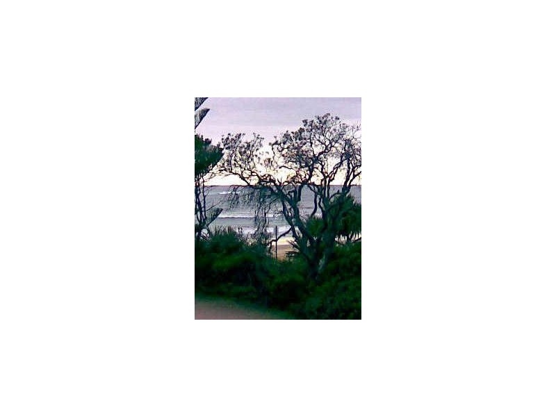 5 Wilson Ave, Dicky Beach QLD 4551