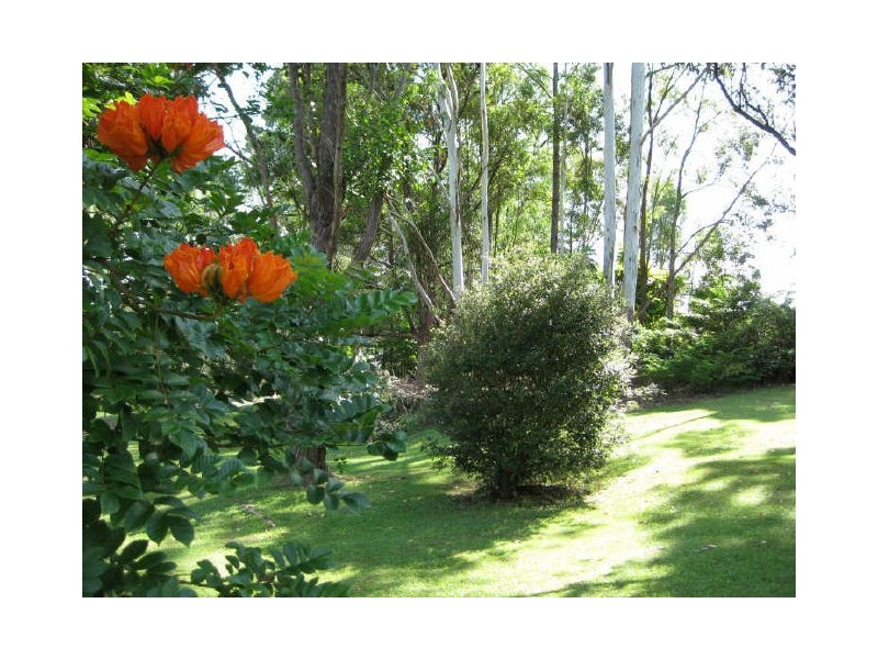 Wamuran QLD 4512