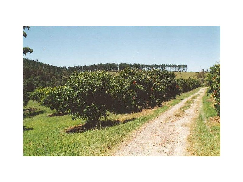 Moorina QLD 4506