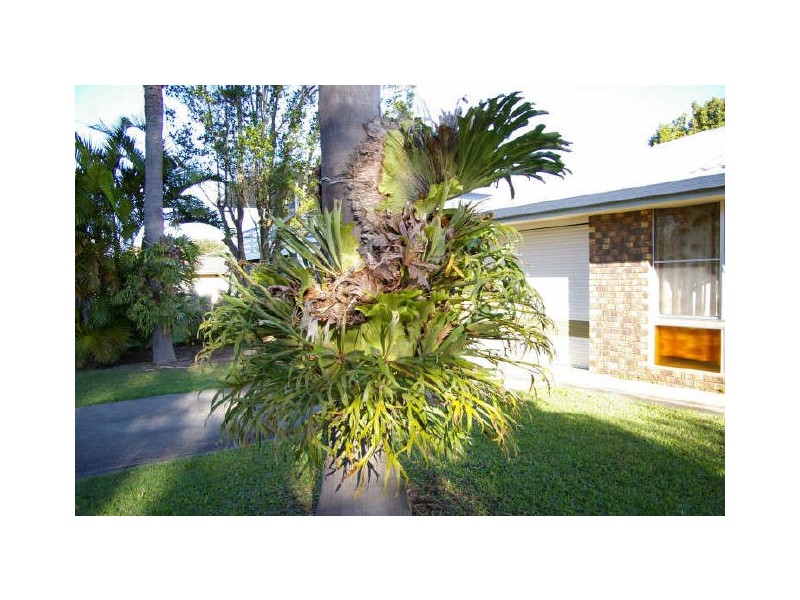 1294 Caboolture-Bribie Is Rd, Ningi QLD 4511